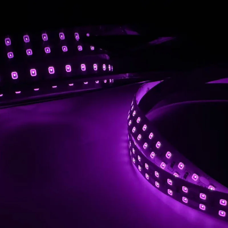 ledlightsworld2466769