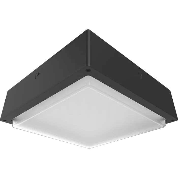 prolighting2-2707094