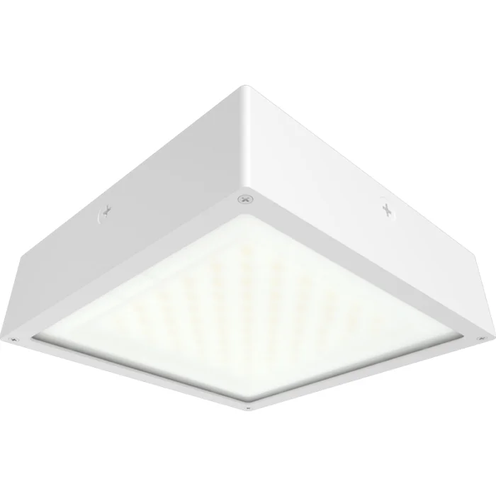 prolighting2-2707186