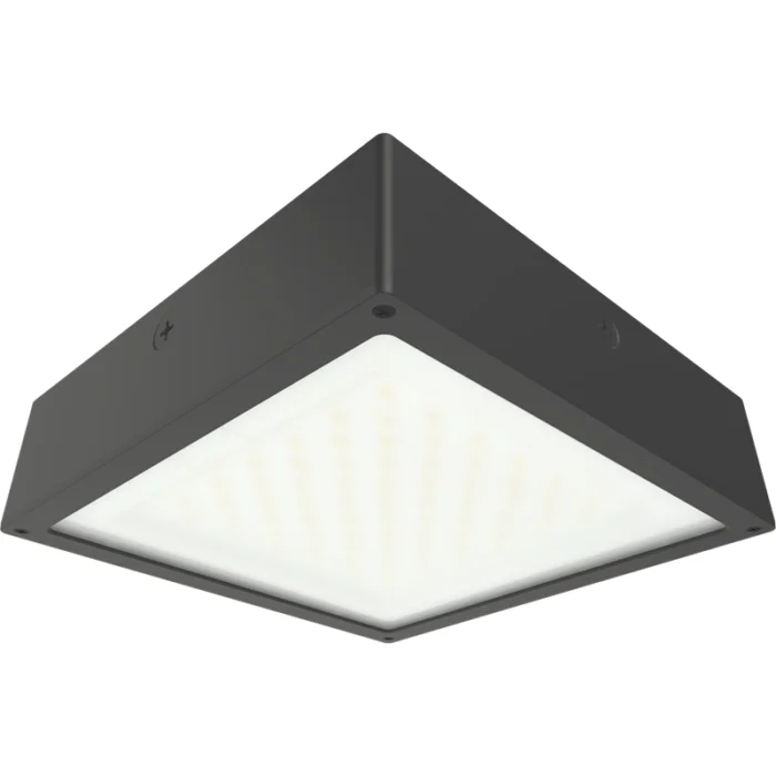 prolighting2-2707257