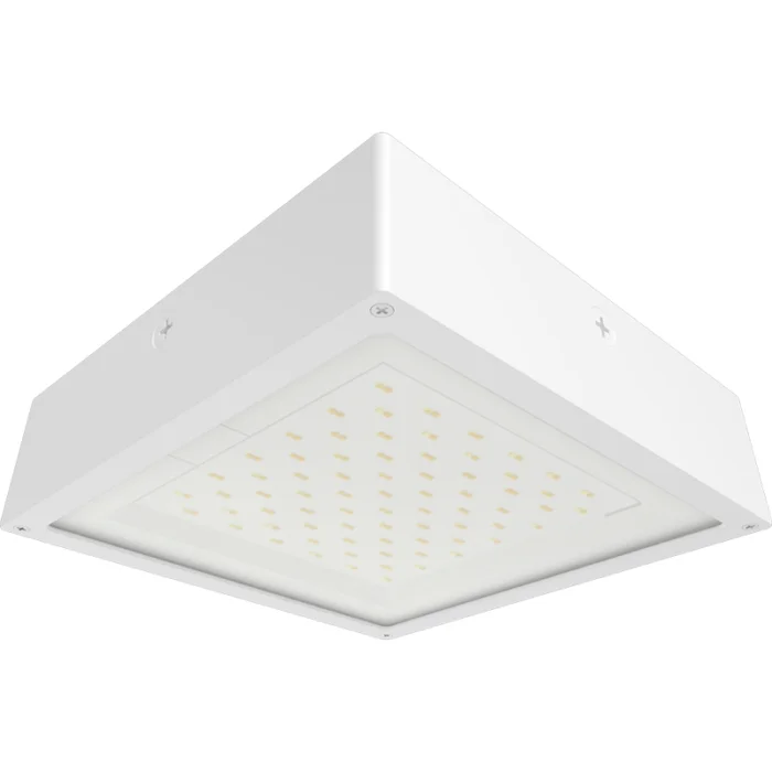 prolighting2-2707304