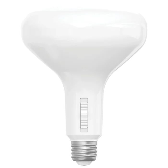 prolighting2-2736408