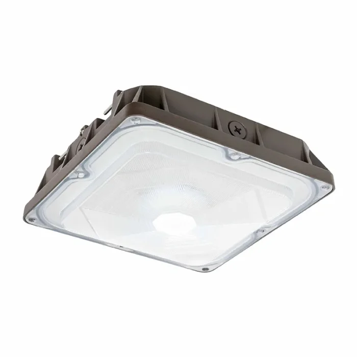 prolighting2-2751933
