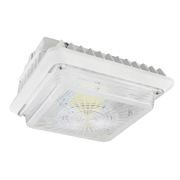 prolighting2-2751961