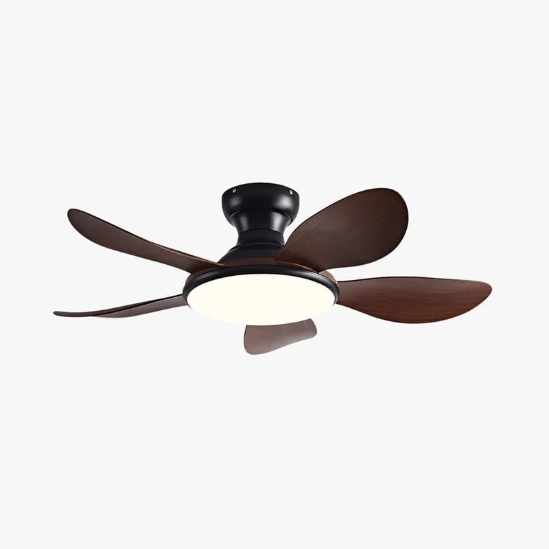 vinlighting2467722